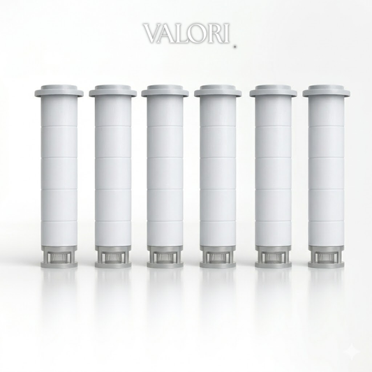 6 Filtres de remplacement